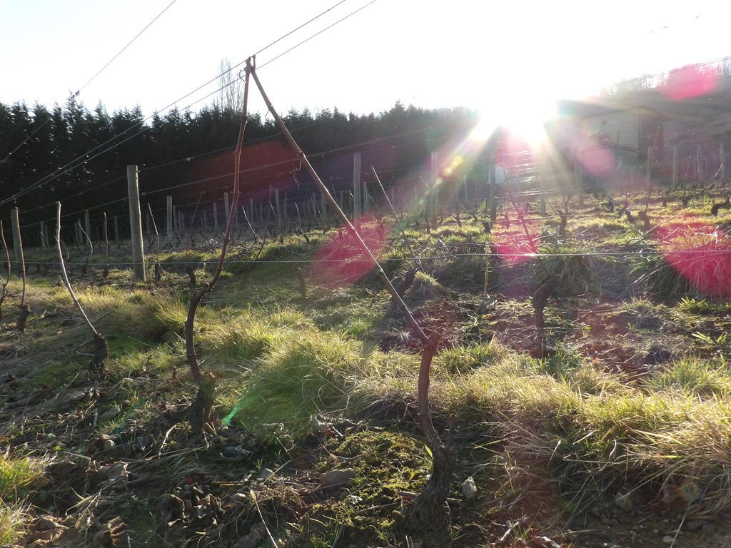 Belle journée d'hiver 1 