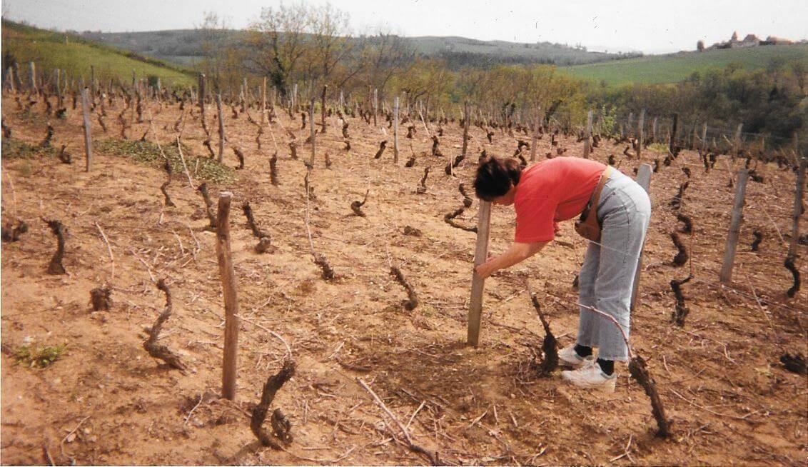 tying canes