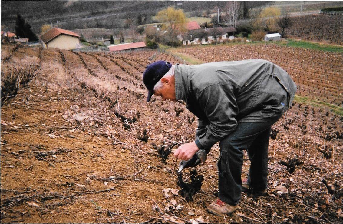 grandpa pruning